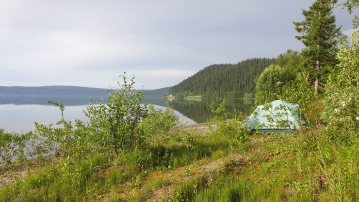 Camp Stora Blåsjön - Tältplats på stranden