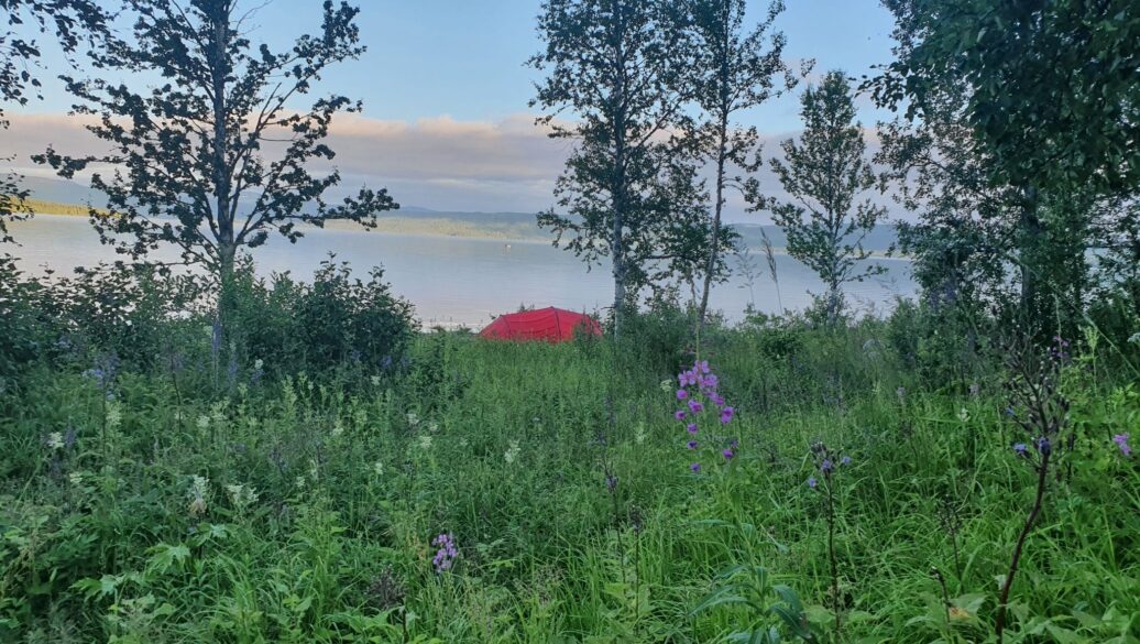 Camp Stora Blåsjön - Tältplats på stranden